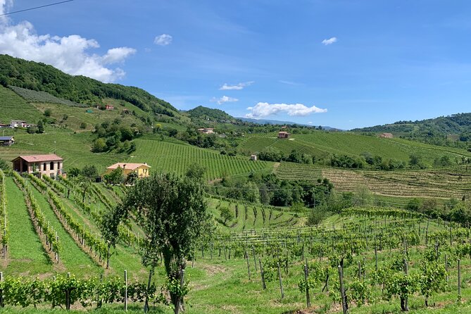 A Sparkling Day in the Prosecco Hills from Venice - The viewpoint adds more than a photo stop