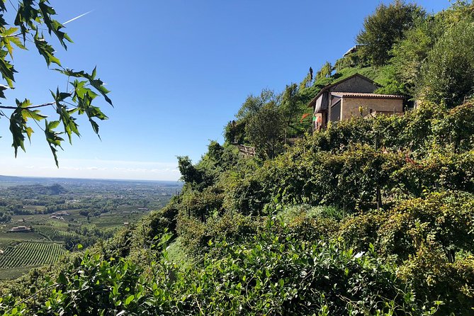 A Sparkling Day in the Prosecco Hills from Venice - What the $228.56 price really covers