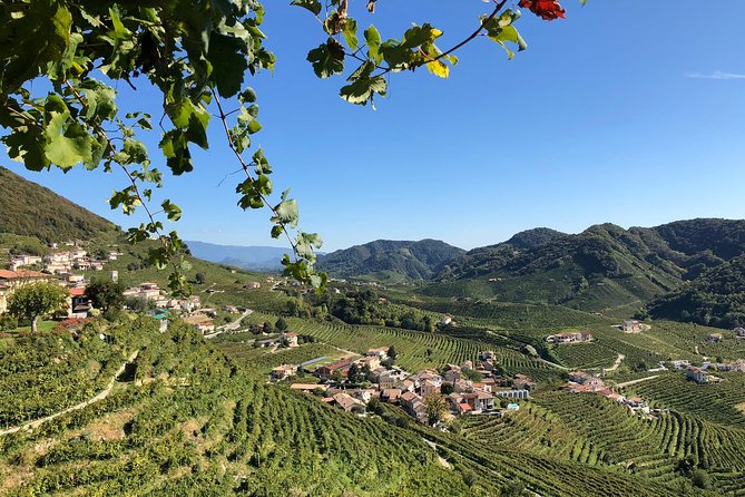 A Sparkling Day in the Prosecco Hills from Venice - The train from Venice requires your attention