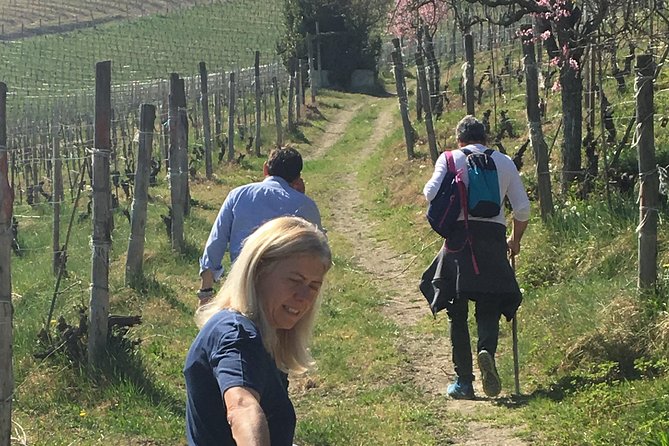 Abellonio Cascina Piccaluga - visit to the vineyards, to the wine tasting cellar - Starting above Alba among the vines