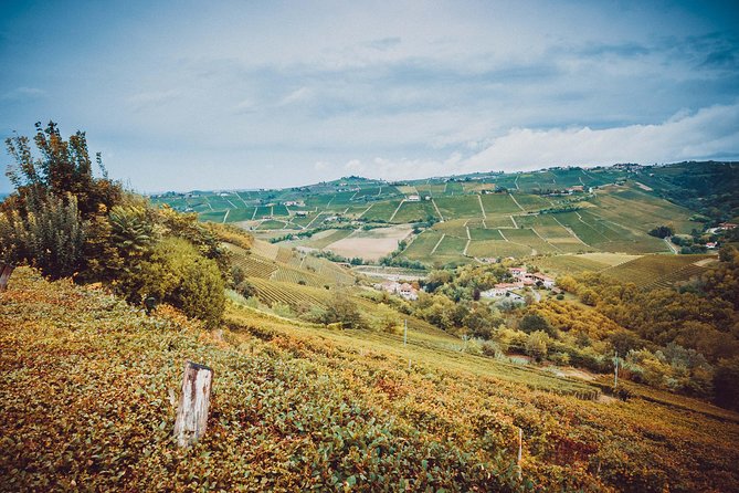 Abellonio Cascina Piccaluga - visit to the vineyards, to the wine tasting cellar - Who will enjoy Cascina Piccaluga most