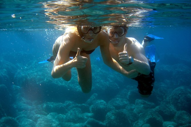 Alghero - Dolphin Watching and Guided Snorkeling (summer tour) - Why this Alghero dolphin tour feels different