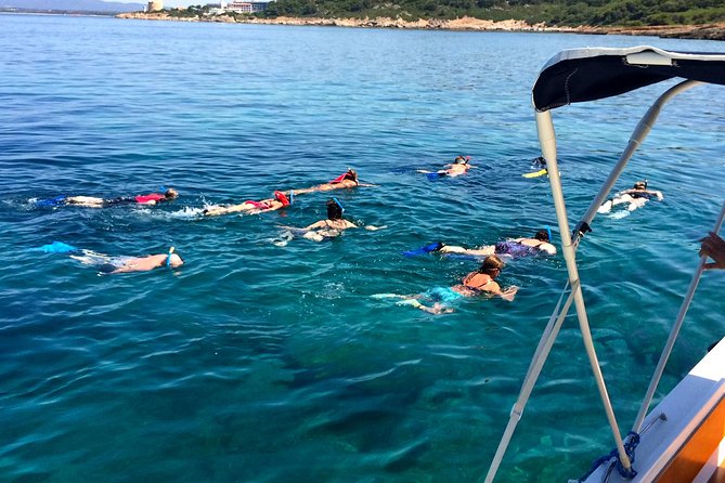 Alghero - Dolphin Watching and Guided Snorkeling (summer tour) - The honest drawbacks