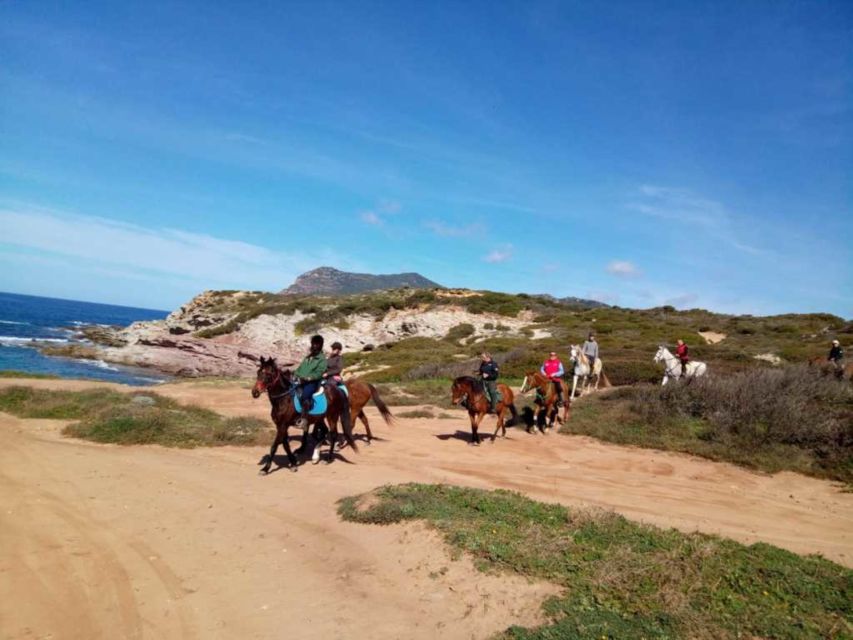 Alghero: Guided Horseback Ride at Lake Baratz & Porto Ferro - Who will enjoy this ride most?