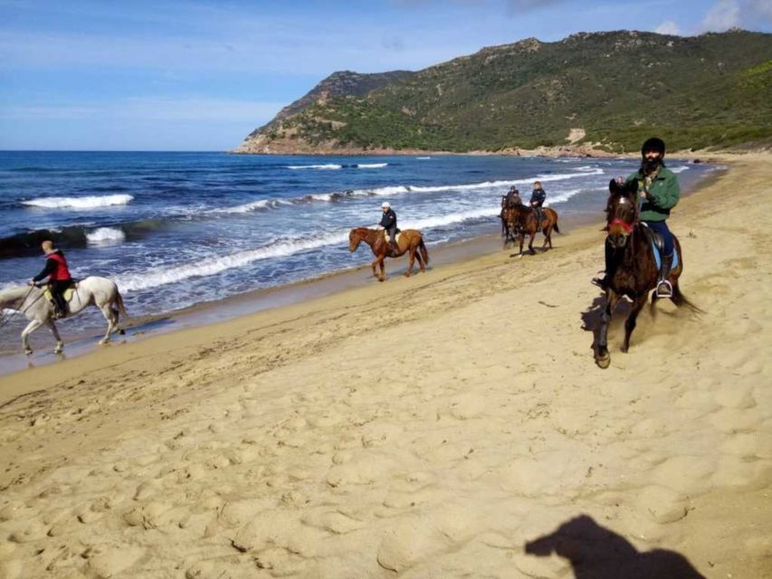 Alghero: Guided Horseback Ride at Lake Baratz & Porto Ferro - From Lake Baratz into Sardinia’s pine country