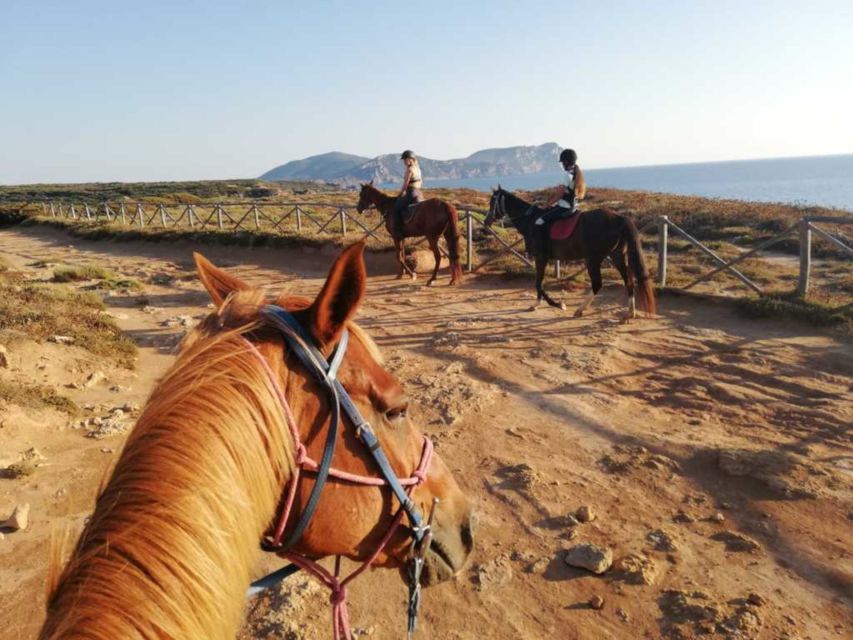Alghero: Guided Horseback Ride at Lake Baratz & Porto Ferro - Forest paths, sea air, and the turn toward Porto Ferro