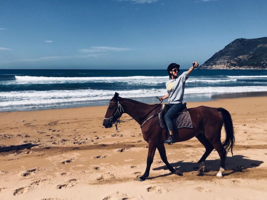 Alghero: Guided Horseback Ride at Lake Baratz & Porto Ferro - Guides, group size, and the personal feel