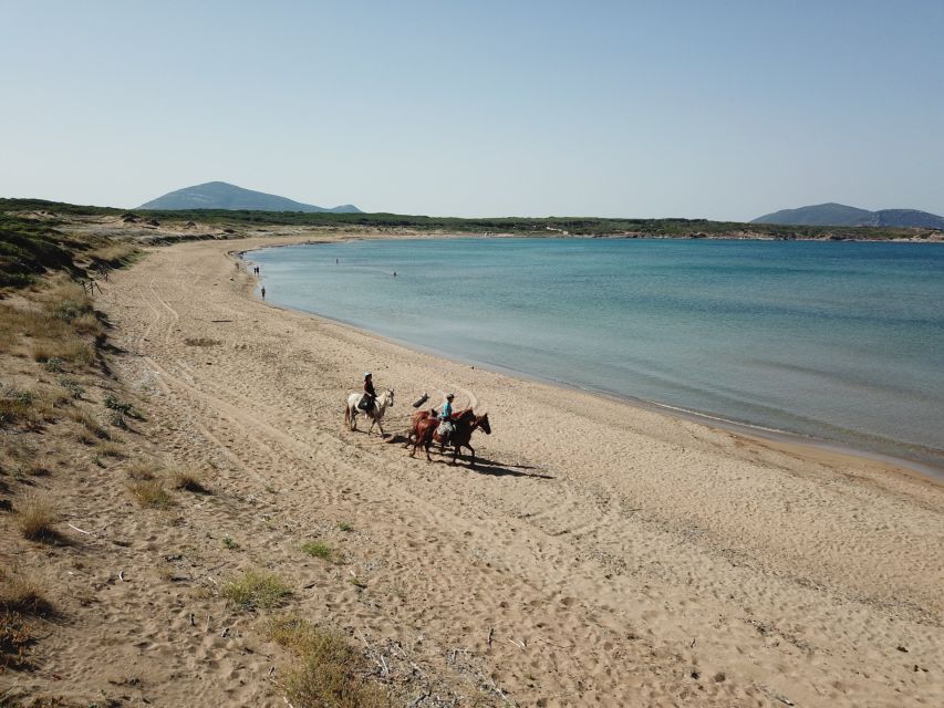 Alghero: Guided Horseback Ride at Lake Baratz & Porto Ferro - How this compares with a typical Alghero day