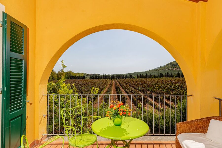 Alghero: Wine and Olive Oil Tasting at a Local Farm - The Olive Oil Finale Is Worth Your Attention