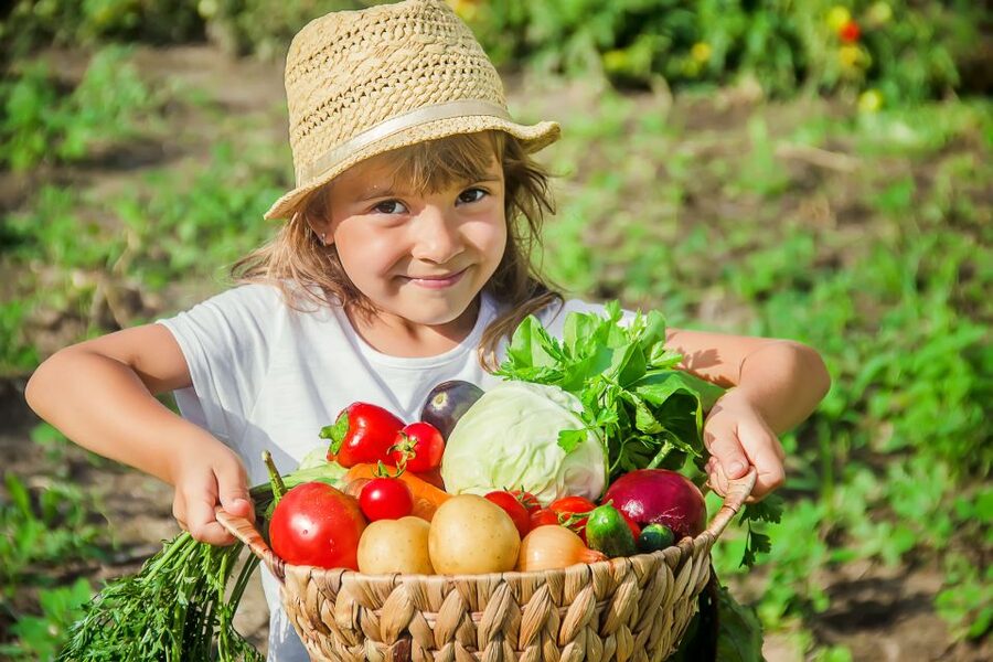 Amalfi: Cooking Class and Farmhouse Visit With Meal - Picking ingredients for your four-course meal