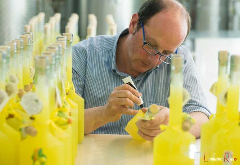 Amalfi: Vertical Lemon Farm Tour, Tastings, and Rural Museum - Why Amalfi’s lemons are worth a closer look