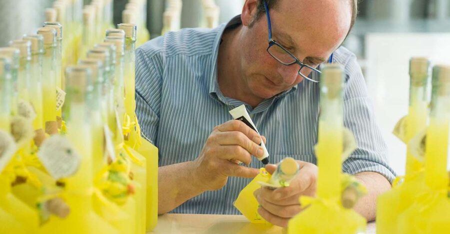 Amalfi: Vertical Lemon Farm Tour, Tastings, and Rural Museum - Walking the vertical lemon grove