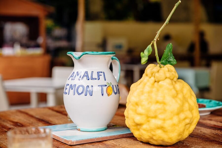 Amalfi: Vertical Lemon Farm Tour, Tastings, and Rural Museum - Who should book this Amalfi farm visit?