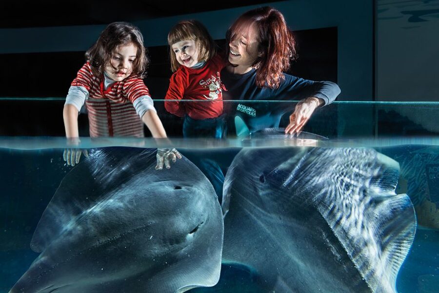 Aquarium of Cattolica Entry Ticket - Key points to know before you go
