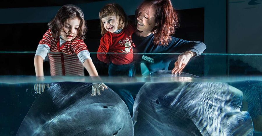 Aquarium of Cattolica Entry Ticket - Follow the Yellow Route from sea to river