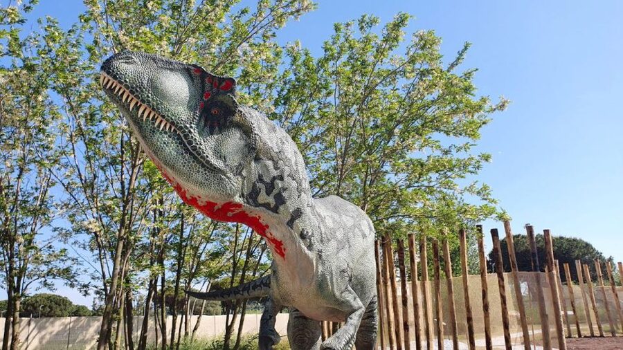 Aquarium of Cattolica Entry Ticket - Find a break at the snack bar or Pesce Azzurro