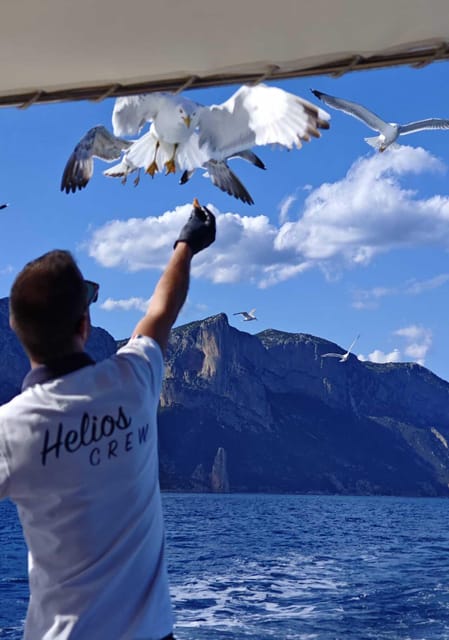Arbatax: Gulf of Orosei Day Tour by Boat - Why the Gulf of Orosei is worth a full day