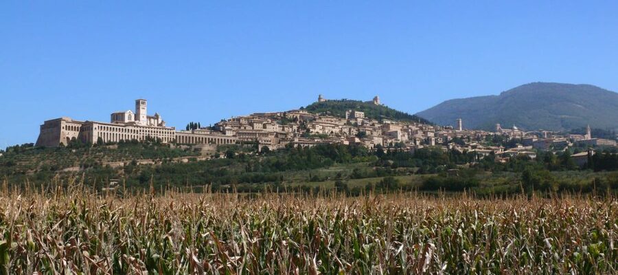 Assisi: Walking Tour with St. Francis Basilica Visit - Why this Assisi walk works so well