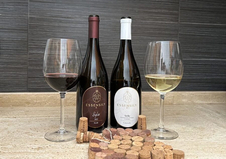 Balestrate: Olive Grove Tour with Wines & Olive Oil Tasting - Why the family welcome matters