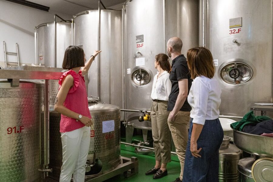 Bardolino: Lake Garda Oil Mill Tour with Olive Oil Tasting - Why an olive mill belongs on your Lake Garda itinerary