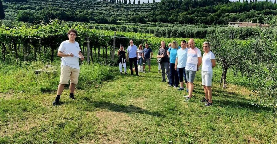 Bardolino: Vineyard Tour with Wine, Olive Oil & Food Tasting - Starting above Lake Garda at Agriturismo La Rocca