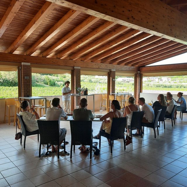 Bardolino: Vineyard Tour with Wine, Olive Oil & Food Tasting - The family story behind the bottles