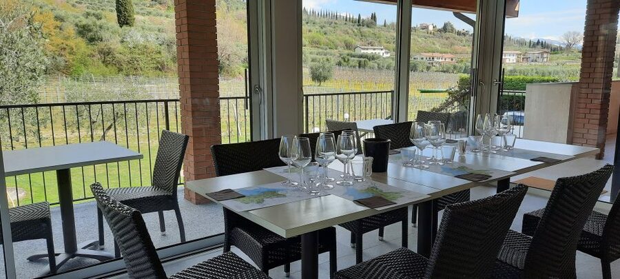 Bardolino: Vineyard Tour with Wine, Olive Oil & Food Tasting - Olive oil, cheese, and cold cuts