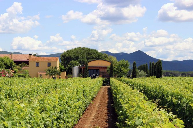 Bolgheri: Classic Wine Tasting with Winery Tour - A compact introduction to Terre del Marchesato