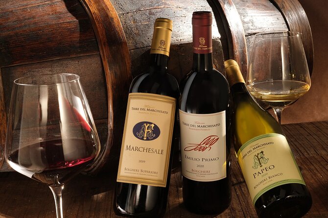 Bolgheri: Classic Wine Tasting with Winery Tour - Inside the working winery and cellar