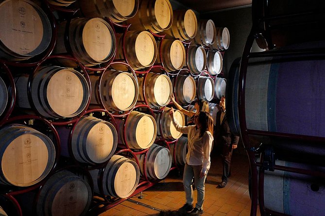Bolgheri: Classic Wine Tasting with Winery Tour - What the $30.25 price really buys you