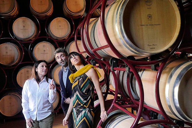 Bolgheri: Classic Wine Tasting with Winery Tour - How the guides shape the experience