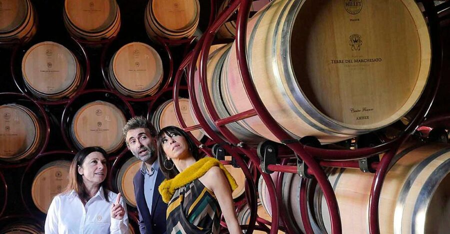 Bolgheri: Winery Tour with Wine Tasting - Key points at a glance