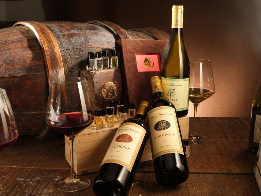 Bolgheri: Winery Tour with Wine Tasting - Following the grapes into the winery