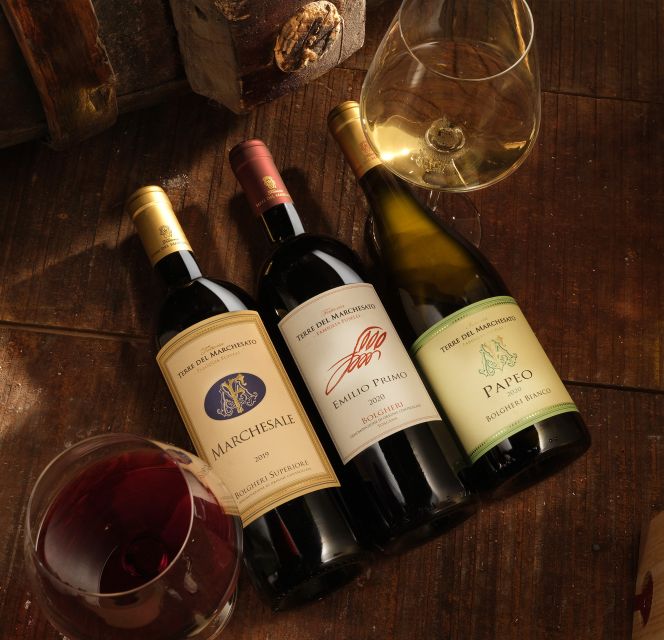 Bolgheri: Winery Tour with Wine Tasting - How the one-hour format works for your itinerary