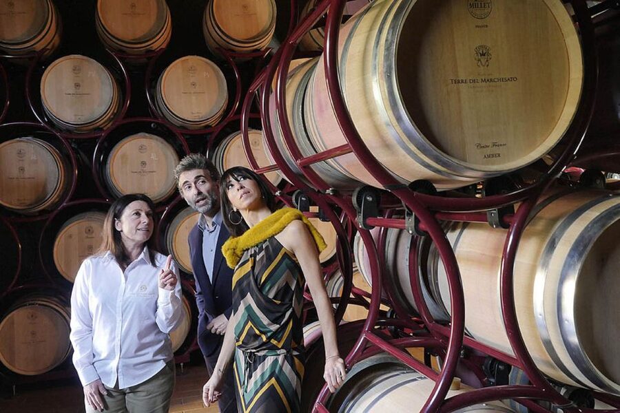 Bolgheri: Winery Tour with Wine Tasting - Starting among the vines at Terre del Marchesato