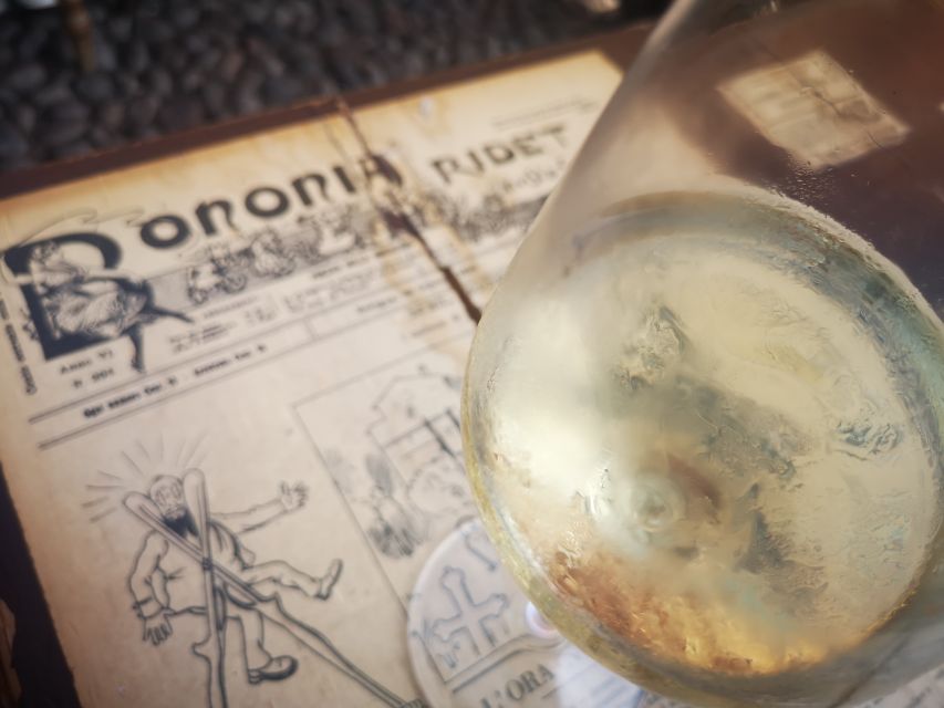 Bologna: City Center Guided Wine Walking Tour - Bologna’s local wines, one glass at a time
