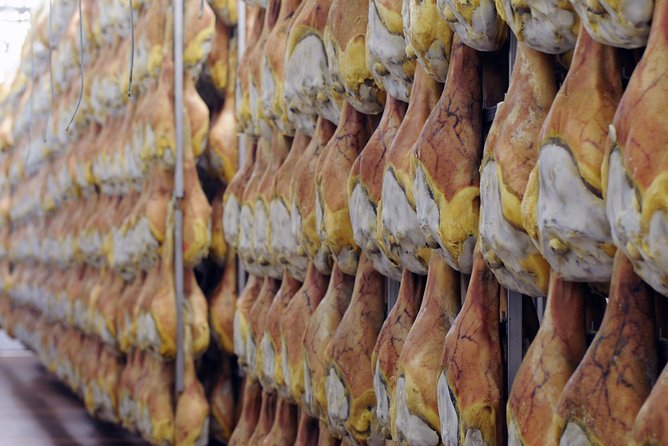 Bologna Food Experience: Factory tours & Family-Style Lunch - How much food should you expect?