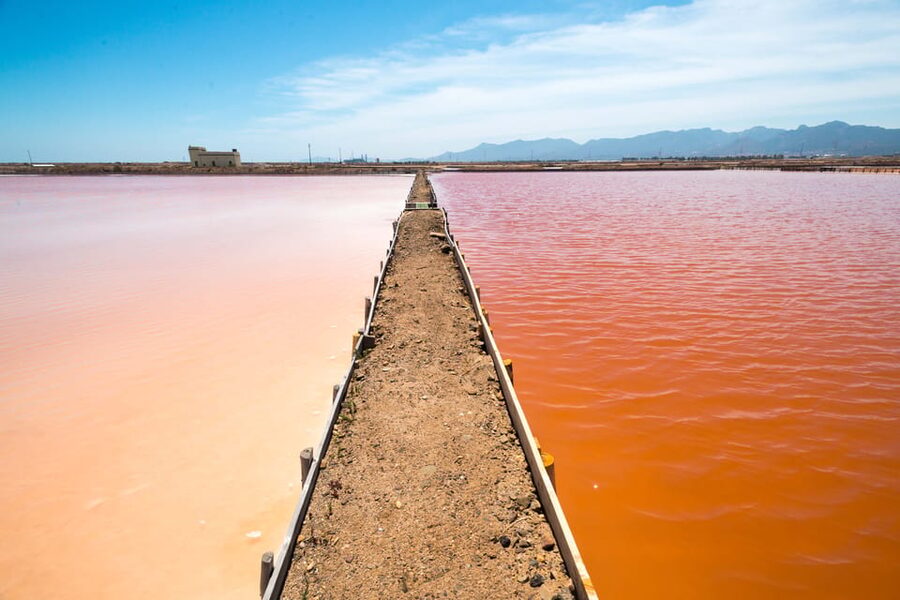 Cagliari: Conti Vecchi Salt Flats Train and Tour - Should you book the Conti Vecchi Salt Flats tour?