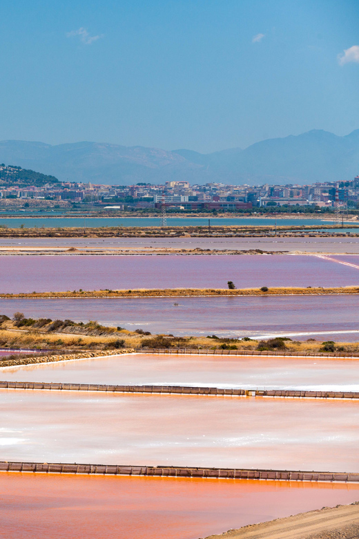 Cagliari: Conti Vecchi Salt Flats Train and Tour - Practical tips for a better visit