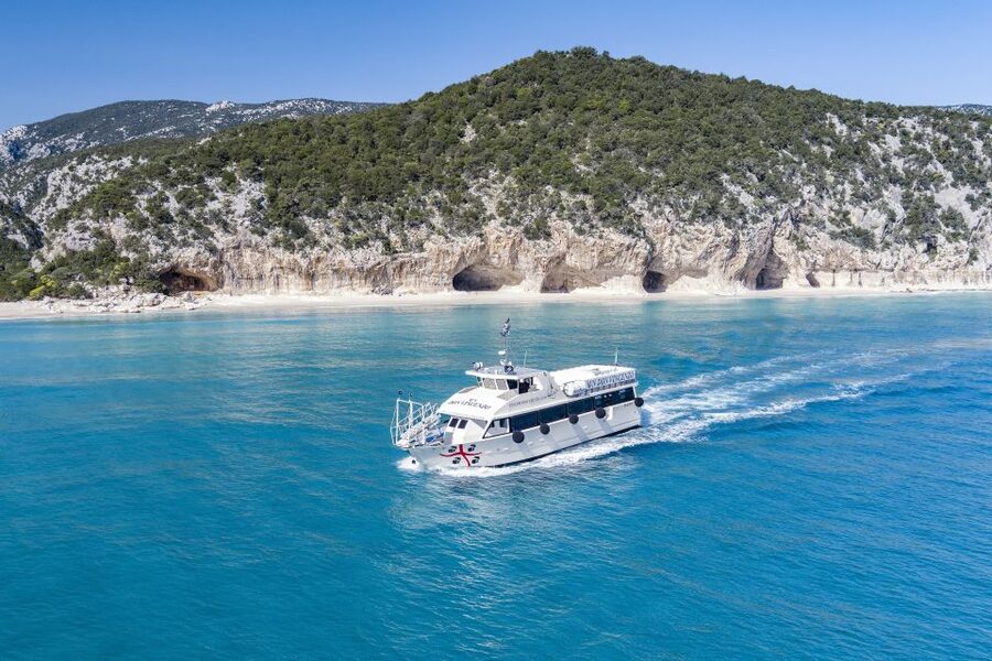 Cala Gonone: Grotta del Bue Marino and Cala Luna Boat Tour - What the strongest feedback points to
