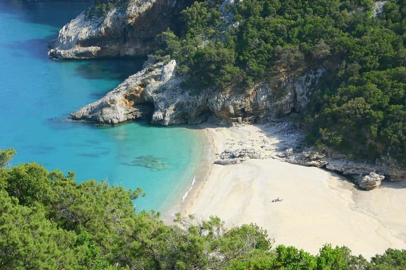 Cala Gonone: Gulf of Orosei Cruise with Beach Stops - Price, value, and what to bring