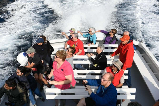 Capri Coast to Coast: Boat Tour with Optional Blue Grotto - Boat size, seating, and comfort