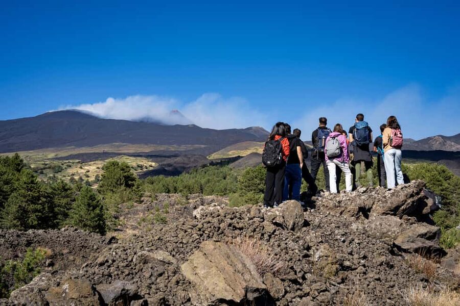 Catania: Amazing Etna Morning Tour with Pickup and Drop-Off - What the guides add to the day