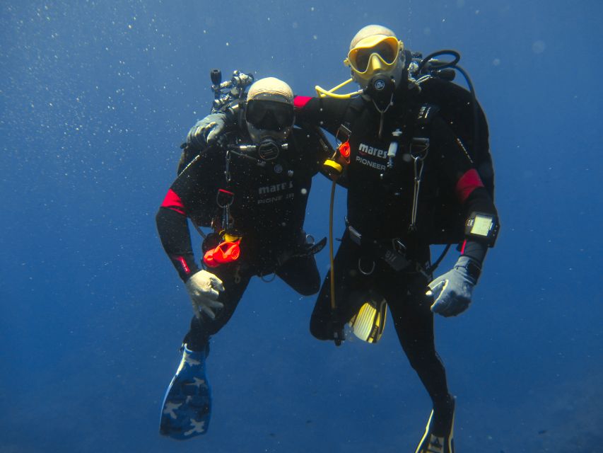 Catania: Gulf Scuba Diving Tour with Marine Biologist - Key points to know before booking