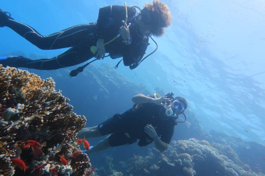 Catania: Gulf Scuba Diving Tour with Marine Biologist - Your first minutes underwater