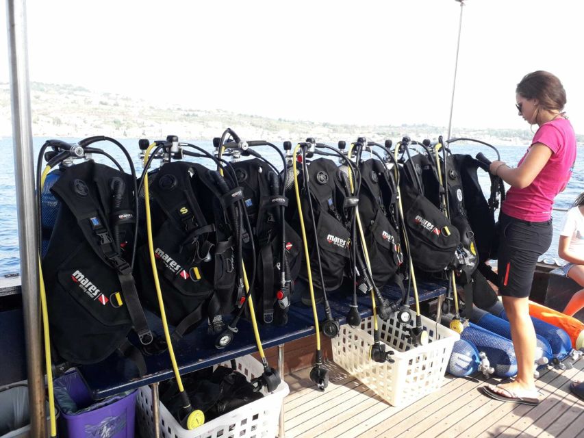 Catania: Gulf Scuba Diving Tour with Marine Biologist - Who should book this experience