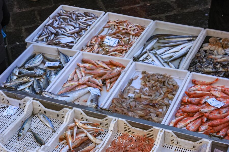 Catania: Street Food Guided Walking Tour - Key points at a glance
