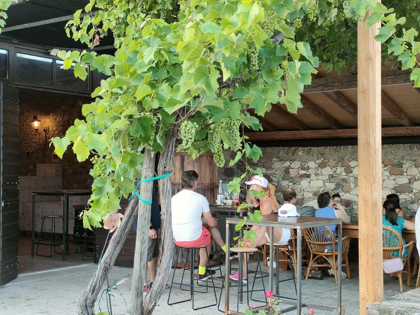 Cavaion: Lake Garda Wine & Food Tasting with Vineyard Tour - Key points to know before you go