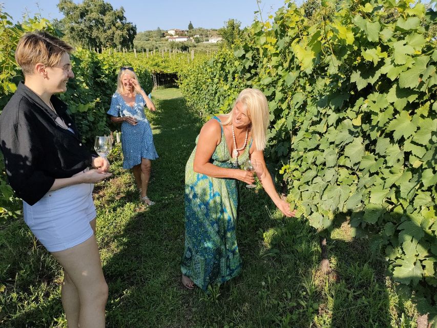 Cavaion: Lake Garda Wine & Food Tasting with Vineyard Tour - A small vineyard in the hills above Lake Garda
