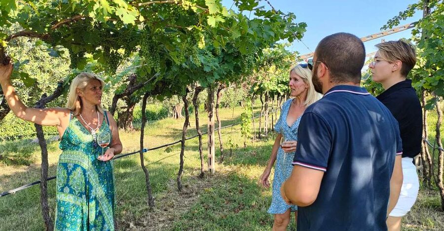 Cavaion: Lake Garda Wine & Food Tasting with Vineyard Tour - Tasting beneath the grape arbor